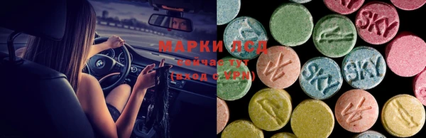 ГАЛЛЮЦИНОГЕННЫЕ ГРИБЫ Козельск