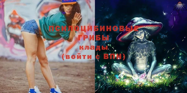 ГАЛЛЮЦИНОГЕННЫЕ ГРИБЫ Козельск