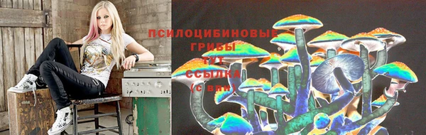 метадон Козловка