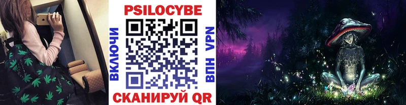 Галлюциногенные грибы Cubensis  Купить закладки  Белоозёрский 